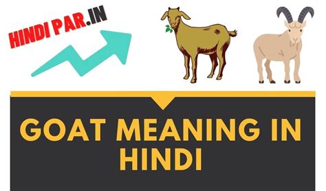 goat in hindi meaning